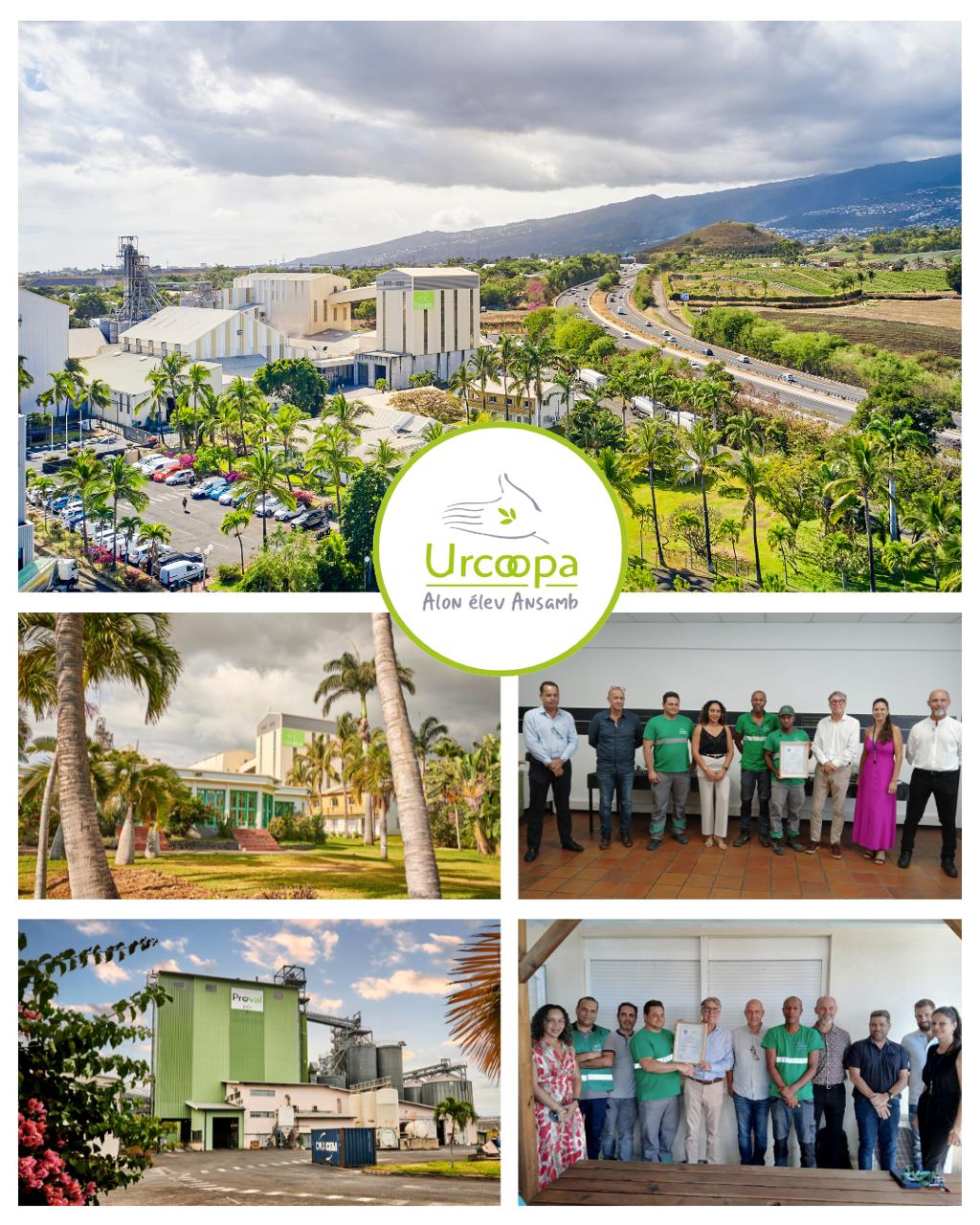 Certification ISO 50001 : une belle réussite collective pour nos usines !