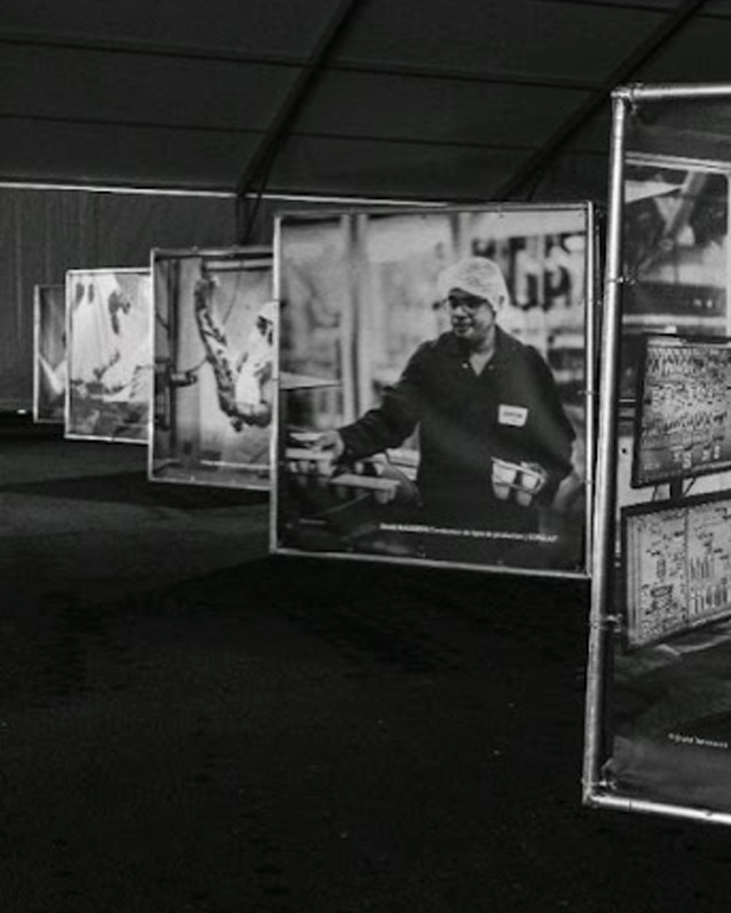 Contribution de l’Urcoopa pour les 50 ans de l’Aribev