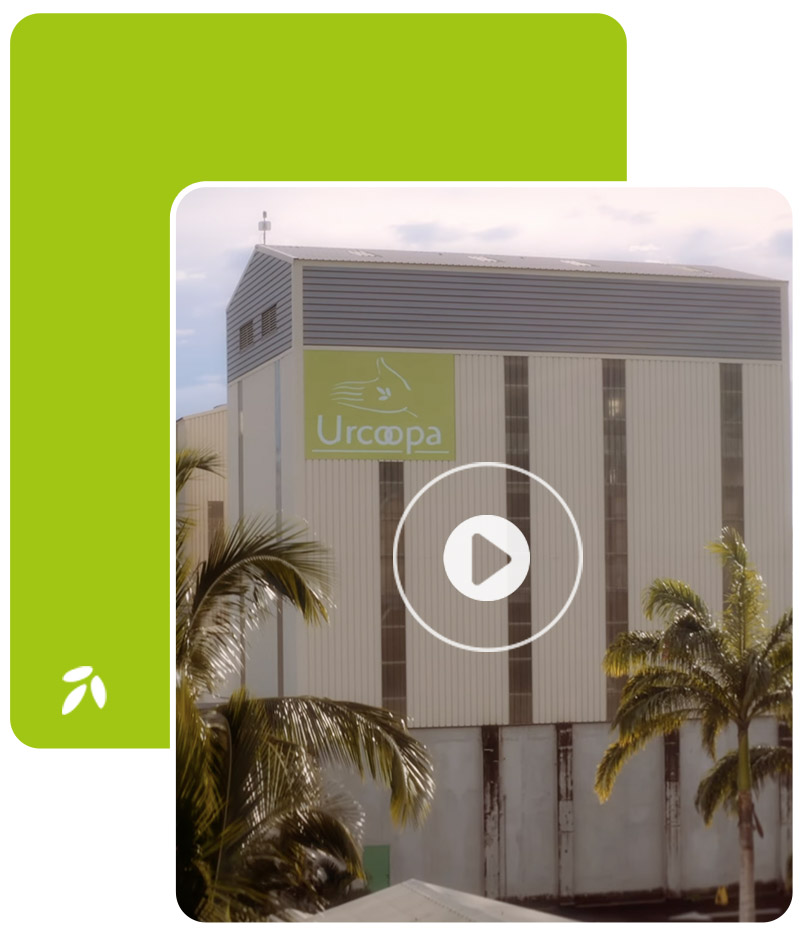 urcoopa-cooperative-agricole-La-Reunion-accueil-a-propos-visuel-video-1