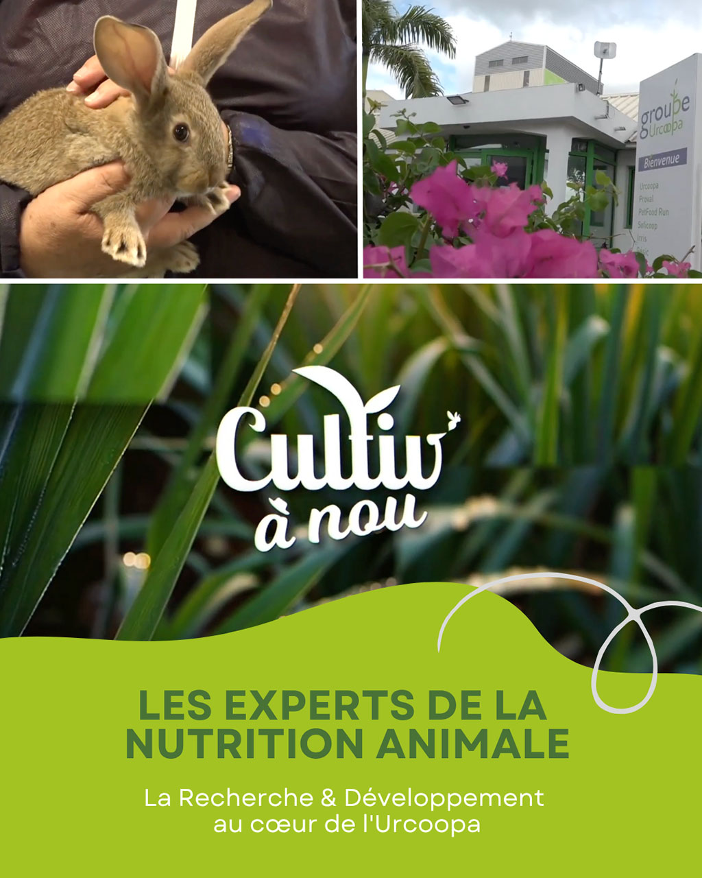 L’Urcoopa à l’honneur dans l’émission « CULTIV À NOU »